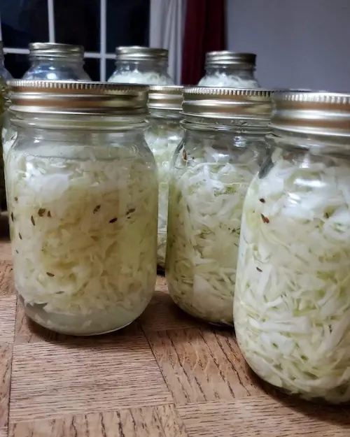 photo of homemade sauerkraut