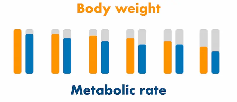 graph that explain how does the optavia plateau works