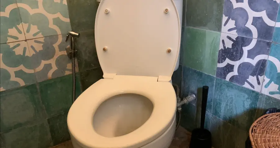 photo of my toilet where I got diarrhea from Optavia diet