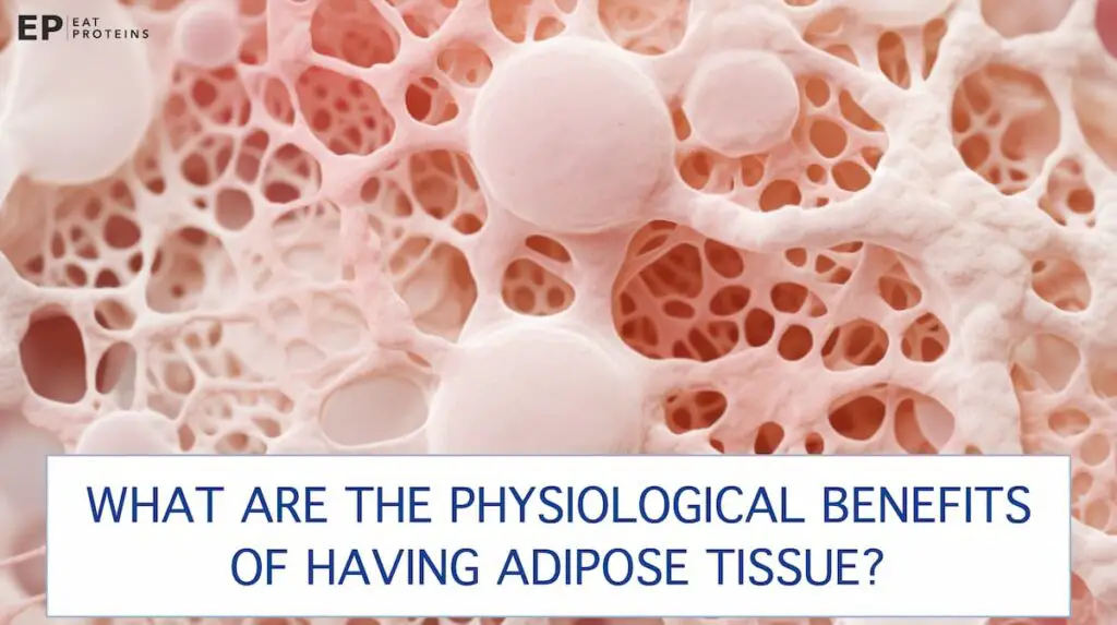 adipose tissue benefits