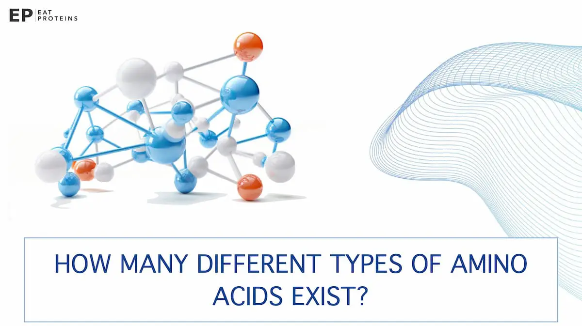 Amino Acids Definition, Function, Benefits, and Risks