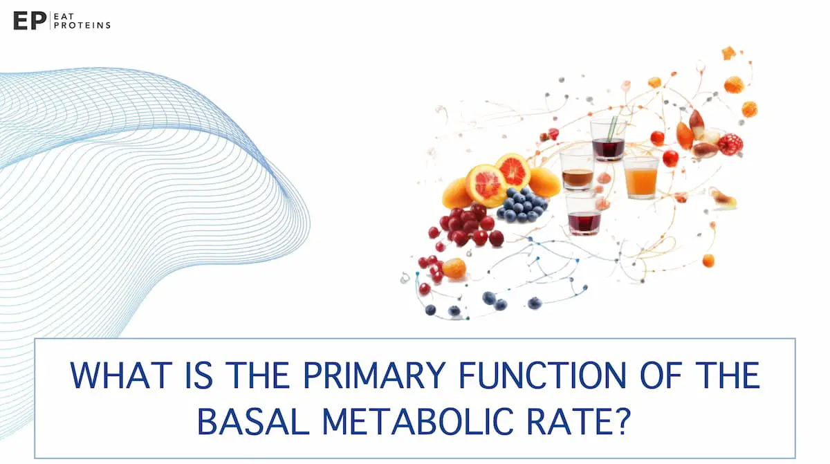 BMR (Basal Metabolic Rate) Definition, Function, and Importance