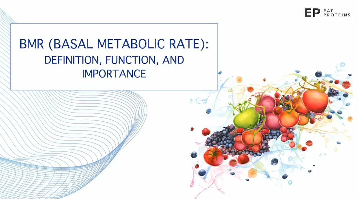 basal metabolic rate BMR
