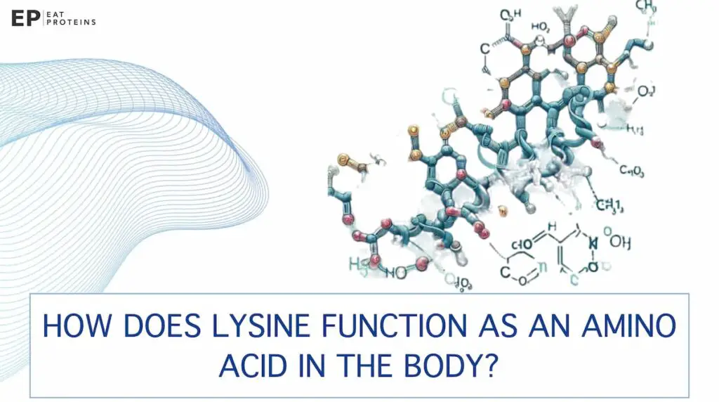 lysine amino acid