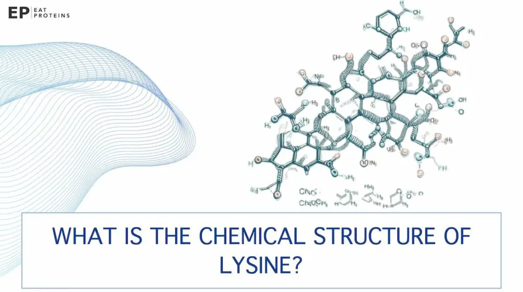 lysine chemical structure