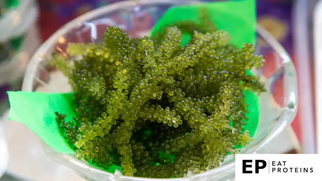 The image shows a bowl of "Umi Budo," also known as sea grapes, a type of green seaweed popular in Okinawan cuisine. The small, bead-like clusters resemble tiny green grapes, giving the dish a fresh and vibrant appearance. The sea grapes are placed on a green leaf in a clear bowl.