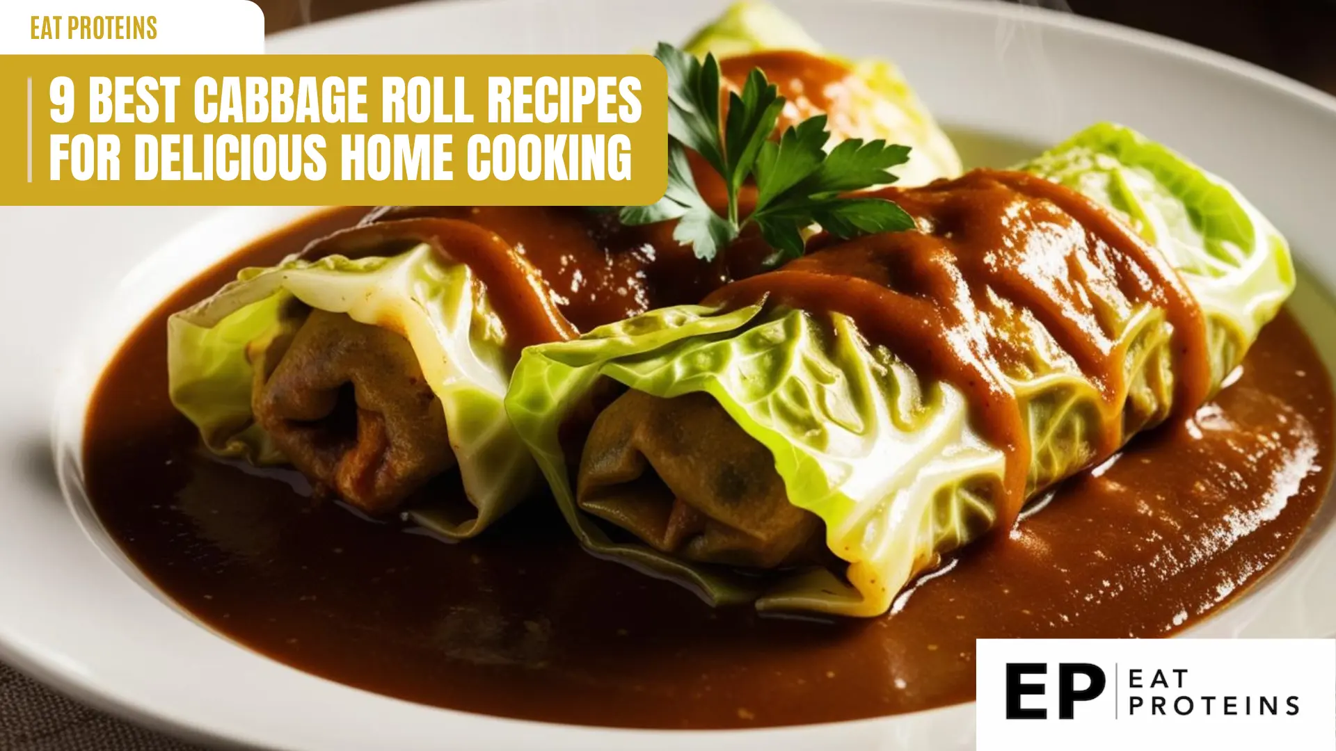 9 best cabbage roll recipes